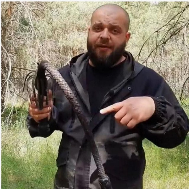 Никаких правил. Только сила. Только выживание.