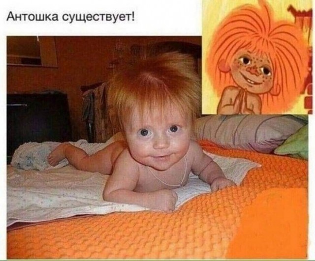 Веселые картинки в последний день лета (31.08)