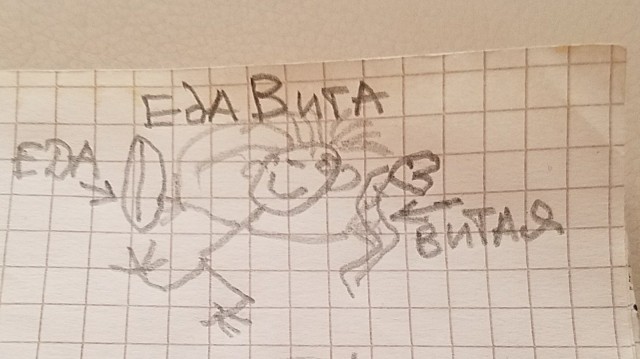 Рисунки.