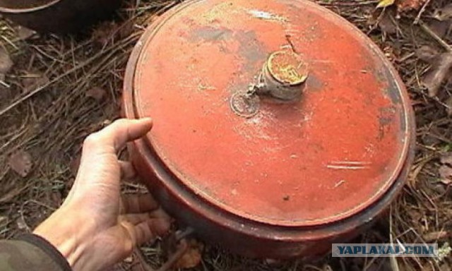 Хобби живёт вопреки.