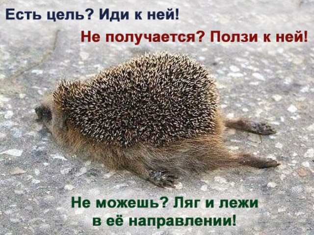 Смешные комментарии на 16.04.2014