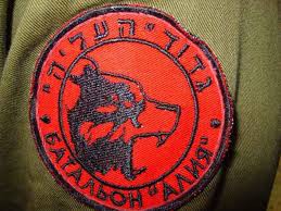 Батальон "Алия" вступил в войну против хунты за