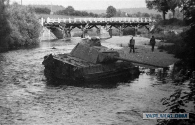 Wargaming 12, WoT сотоварищи