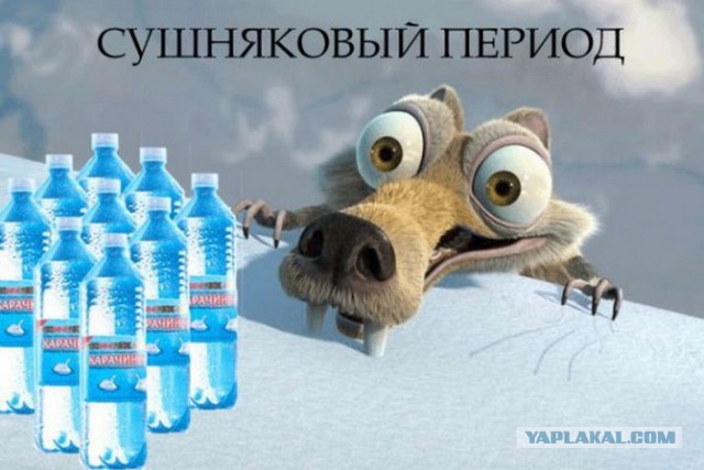 Добряки, плюсующие всех подряд