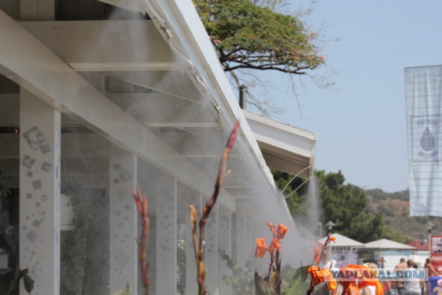 Дорога из Киева и из Москвы в Ялту.