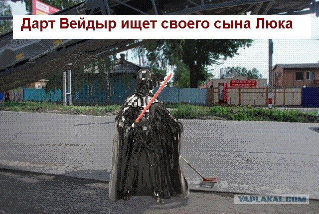 Закатали в асфальт