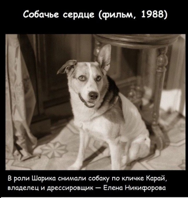 20 фактов обо всем
