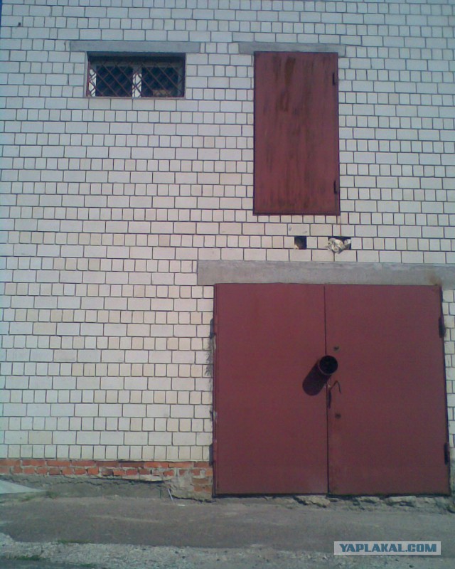 Казусы жизни