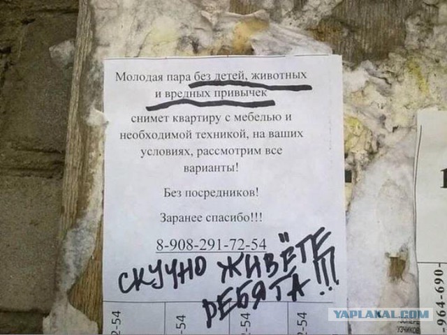 Смешные комментарии из социальных сетей