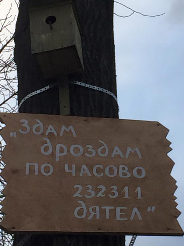 Забавные картинки из Сети