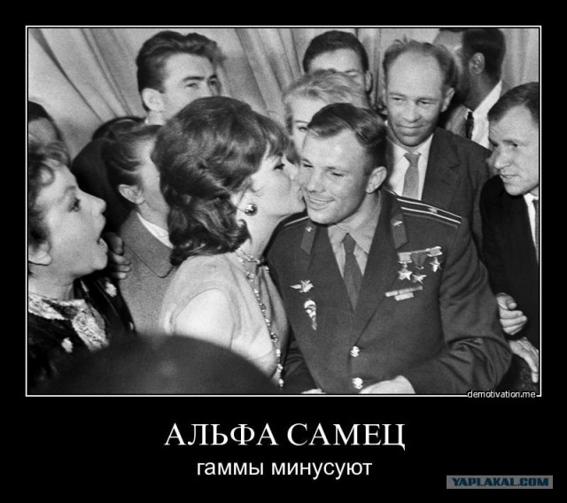 Начинающий мачо и "альфосомец"