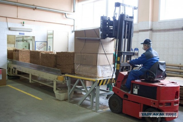 Как в Беларуси делают сигареты: репортаж