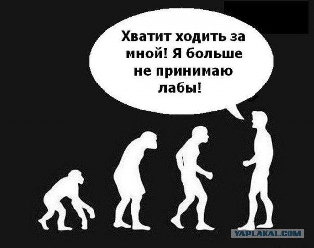 Черный юмор из социальных сетей