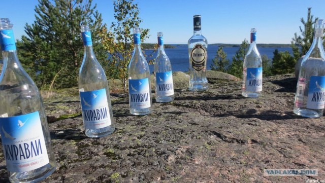 Путин с клювом в халате возглавил журавлиный клин