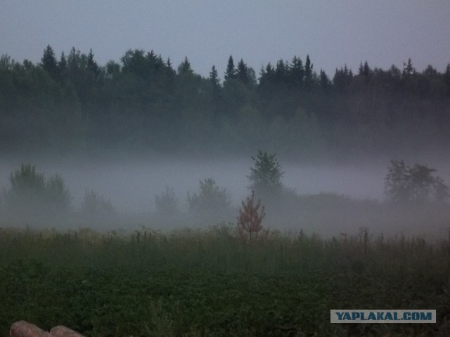 Россия