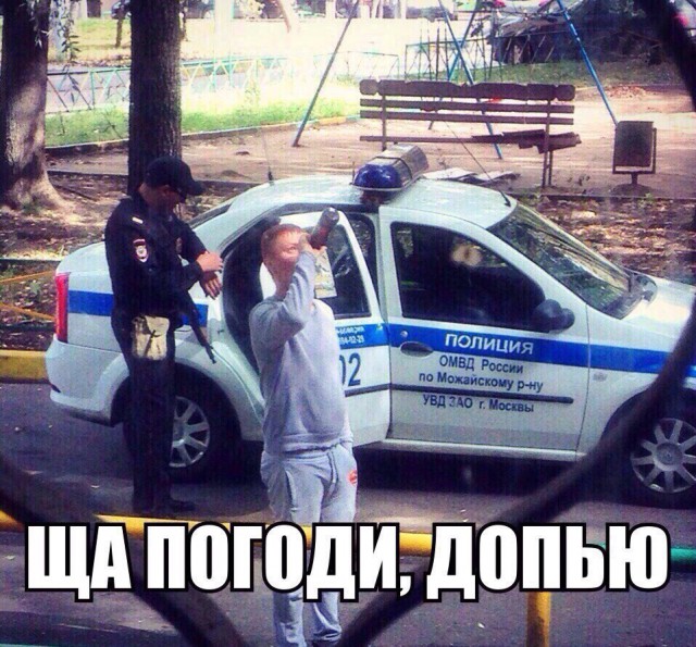 Порция картинок из сети