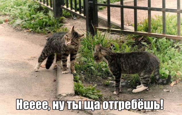 Вжууух! И снова пятница! Ура, товарищи!