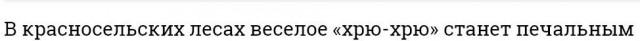 Подборка смешных и абсурдных новостей