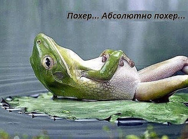 Тиньков отзывает иск против Немагии