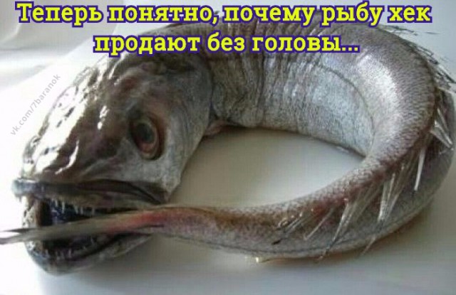 Адская вечеринка тёмных сил