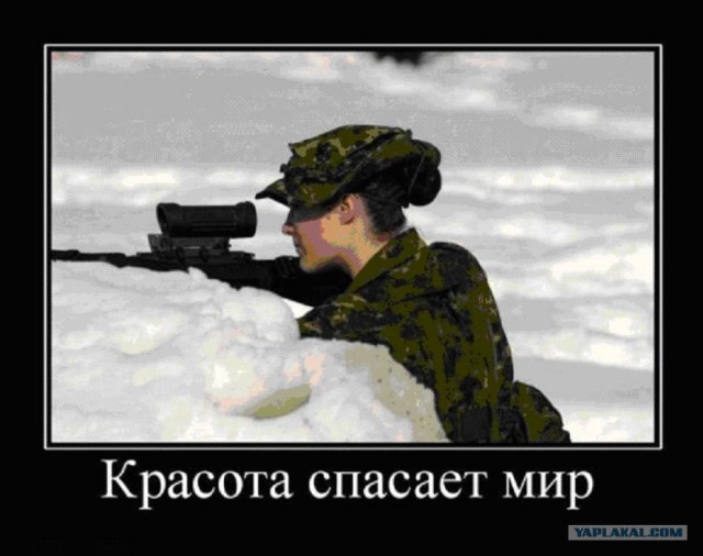 Реалити-шоу