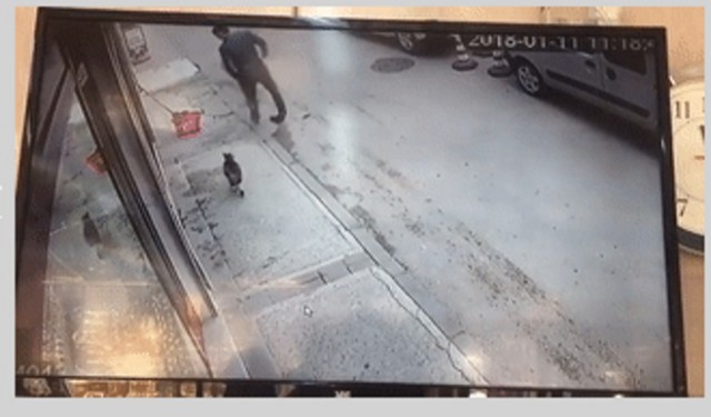 "Саечку" за испуг