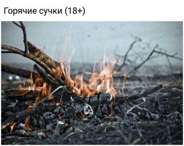 Тупик эволюции