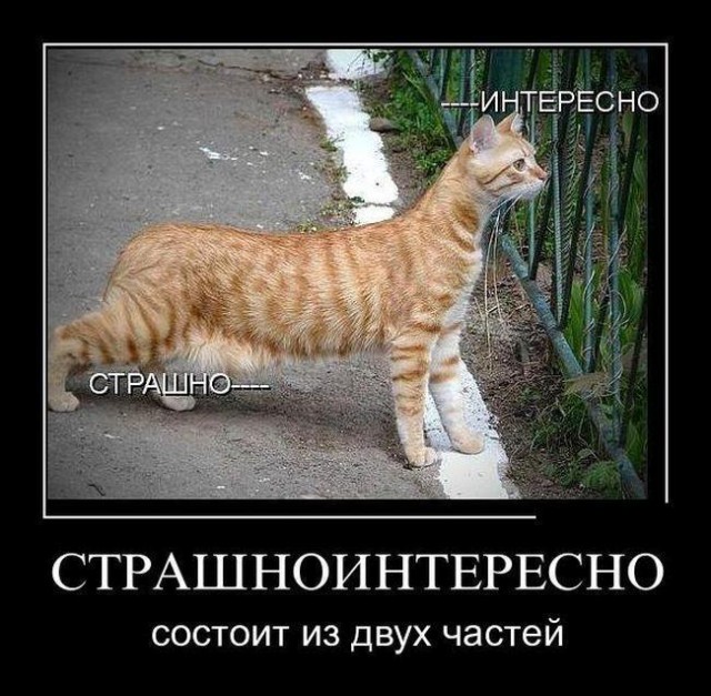 Итоги проверки пользователей