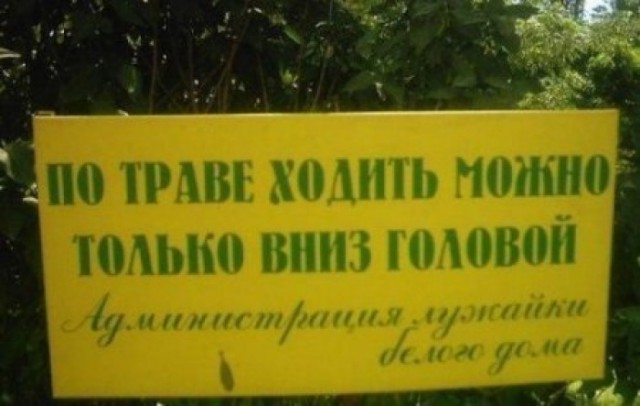 Вижу рифму!