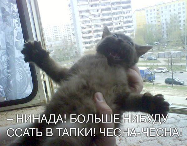 Я больше не буду!