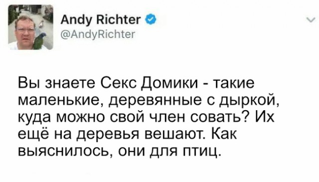 Неожиданно в скворечнике