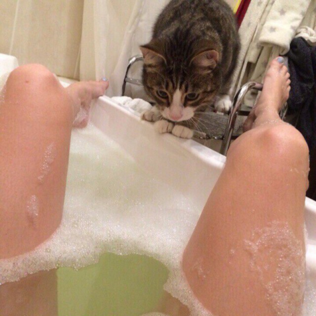 20 котов, у которых была всего секунда, чтобы прославиться. И они воспользовались ею сполна!