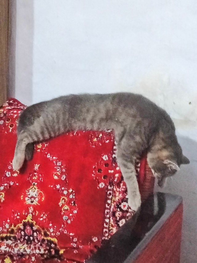 Немного милоты