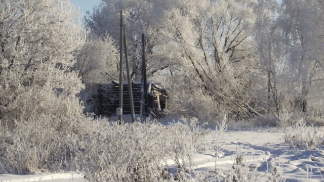 Просто несколько фото сегодняшней прогулки.