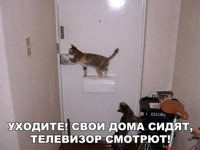 Немного милоты