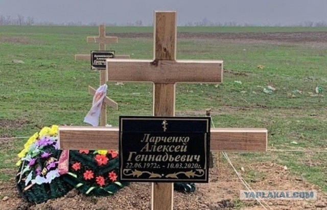 Штрафами до смерти довели продавца цветов в Ростовской области. Рожайте больше детей, говорили они....