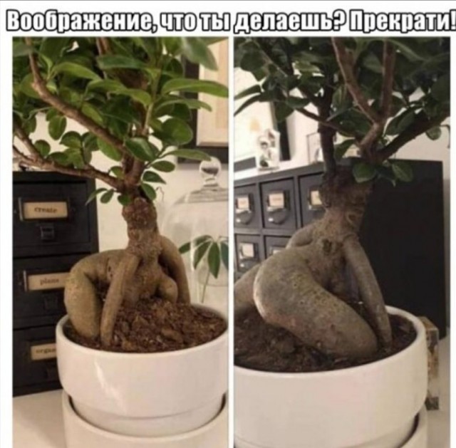 Бредзона 24.03.2020