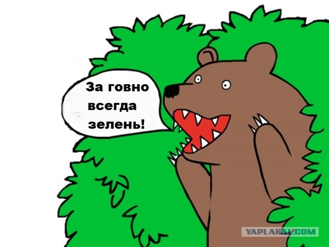 В новостройке с потолка течёт говно