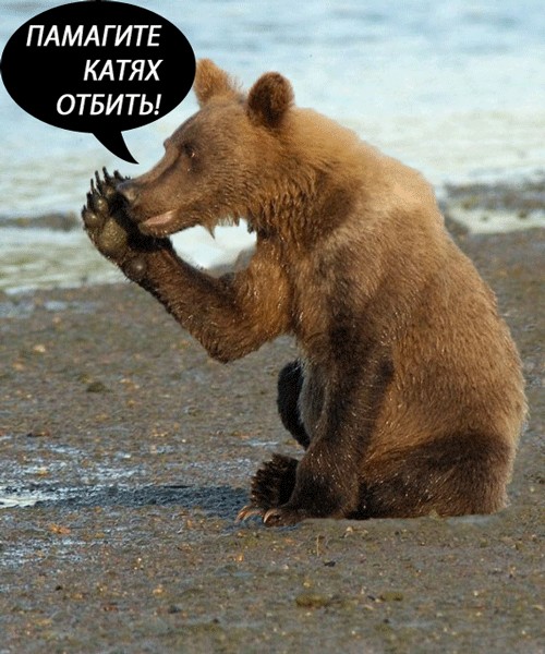 Маша-а-а!Аууууу!