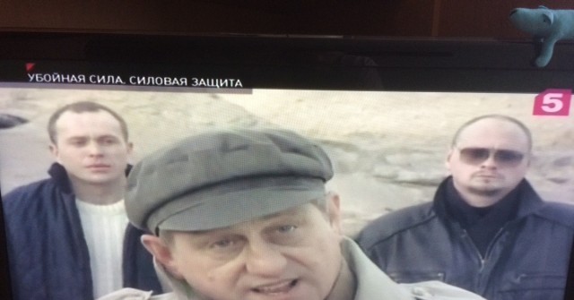 Случайность или спланированная популярность?