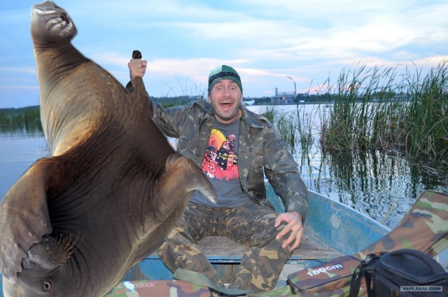 Фотожаба: Рыбаки без рыбы