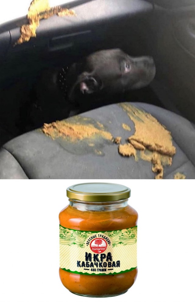 Это просто дикость какая-то
