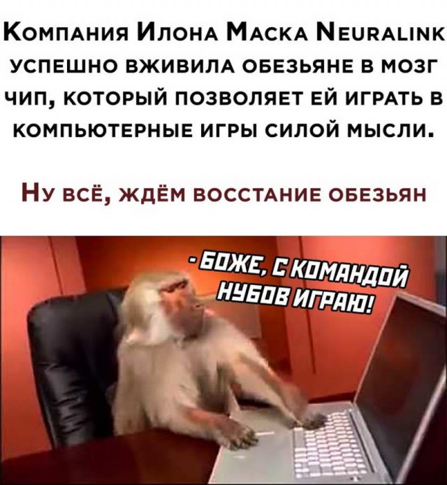 Картинки и мемы для настроения 02.02.2021