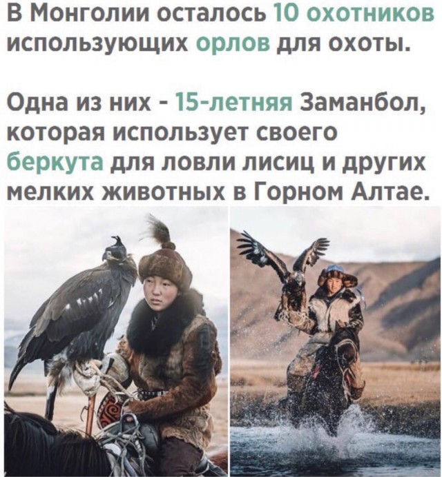 С миру по нитке 6.02.21