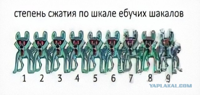 У входа в кабинет главы Богучанского района