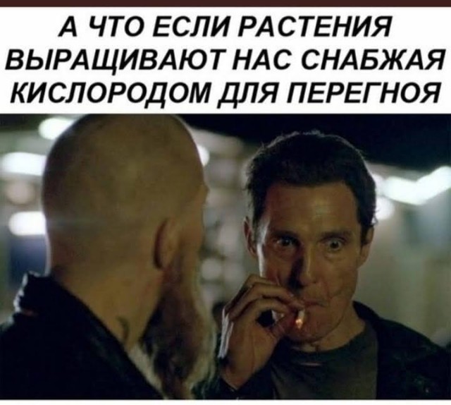 Картинки на среду 23.06.2021