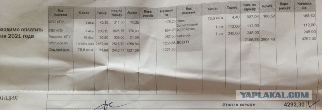Украинскую спортсменку затравили за фото с россиянкой на Олимпиаде