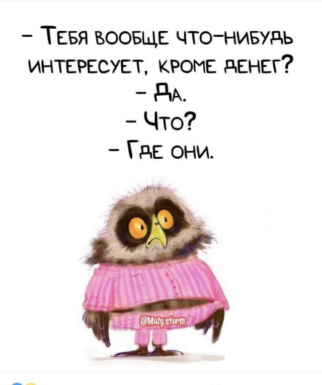 Птички-невелички, налетай