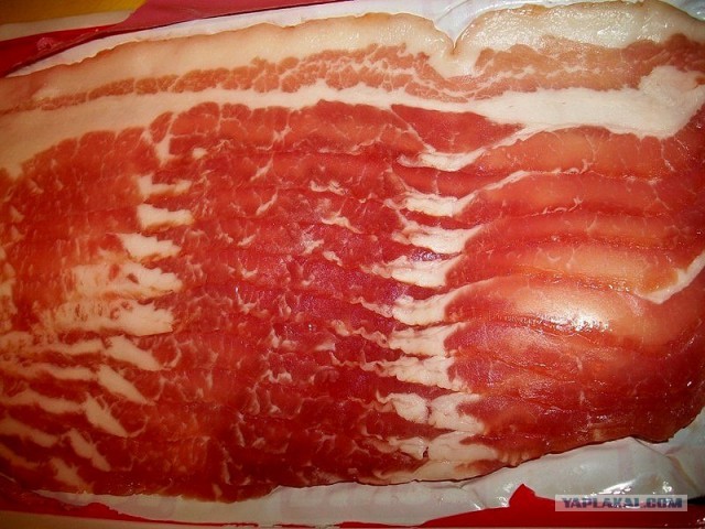 International одной книги., В память о Дженибеке.