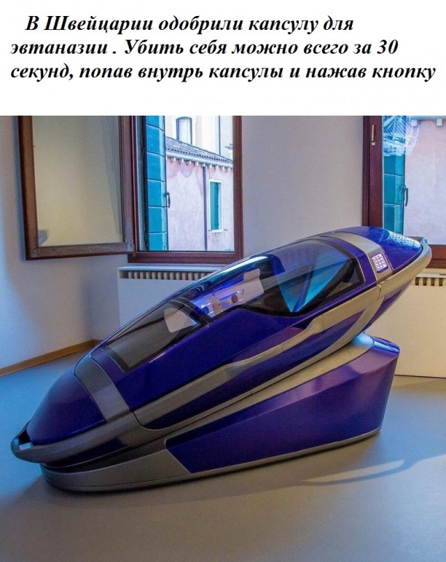 Весёлый полтишок 08.12